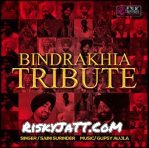 Bindrakhia Tribute Gupsy Aujla mp3 song download, Bindrakhia Tribute Gupsy Aujla full album