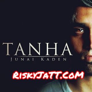 Tanha (Radio Edit) Junai Kaden mp3 song download, Tanha Junai Kaden full album