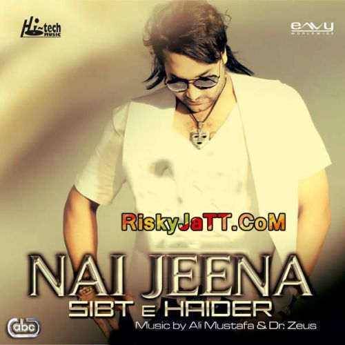 Download Din Pyar De Dr Zeus, Sibt E Haider mp3 song, Nai Jeena Dr Zeus, Sibt E Haider full album download