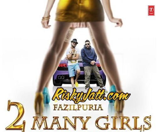 Download 2 Many Girls Fazilpuria, Badshah mp3 song, 2 Many Girls Fazilpuria, Badshah full album download