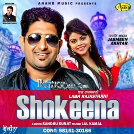 Shokeena Labh Rajasthani mp3 song download, Shokeena Labh Rajasthani full album