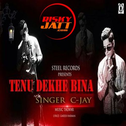 Tenu Dekhe Bina C-Jay Bhattia mp3 song download, Tenu Dekhe Bina C-Jay Bhattia full album