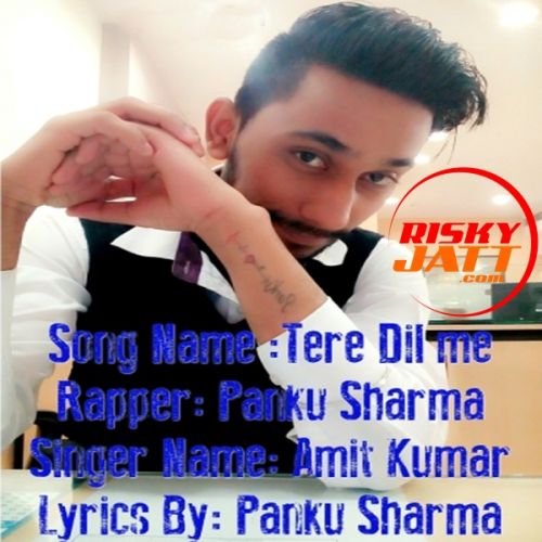 Tere Dil Me Amit Kumar, Panku Sharma mp3 song download, Tere Dil Me Amit Kumar, Panku Sharma full album