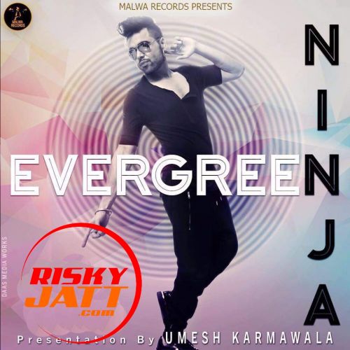 Evegreen Ninja mp3 song download, Evegreen Ninja full album