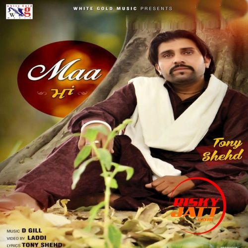 Maa Tony Shehd mp3 song download, Maa Tony Shehd full album