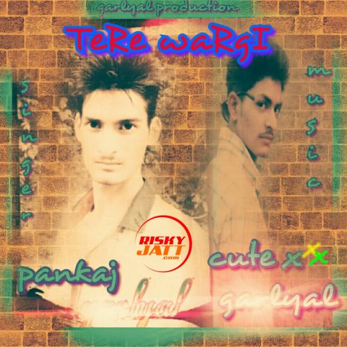 Download Tere Wargi Pankaj Garlyal mp3 song, Tere Wargi Pankaj Garlyal full album download