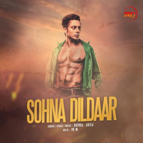 Sohna Dildaar Bhinda Aujla mp3 song download, Sohna Dildaar Bhinda Aujla full album