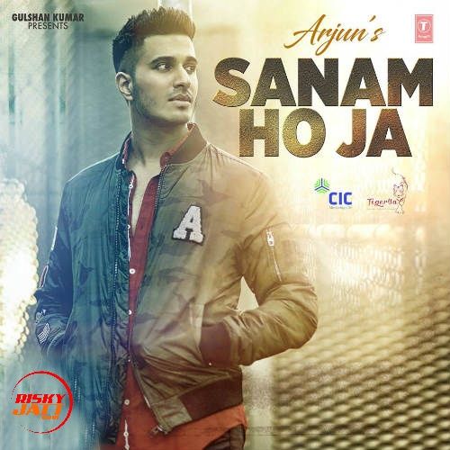 Sanam Ho Ja Arjun mp3 song download, Sanam Ho Ja Arjun full album