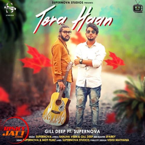 Tera Haan Gill Deep, Supernova mp3 song download, Tera Haan Gill Deep, Supernova full album