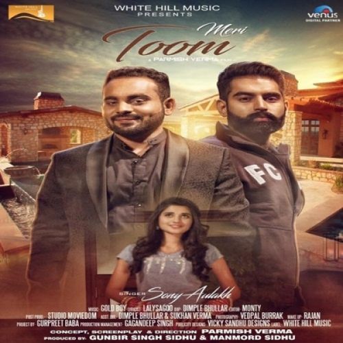 Meri Toom Sony Aulakh mp3 song download, Meri Toom Sony Aulakh full album