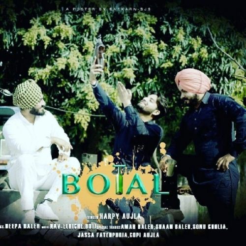 Botal Harpy Aujla mp3 song download, Botal Harpy Aujla full album