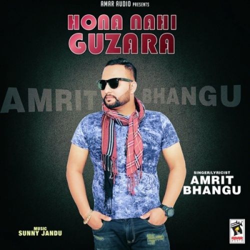 Hona Nahi Guzara Amrit Bhangu mp3 song download, Hona Nahi Guzara Amrit Bhangu full album