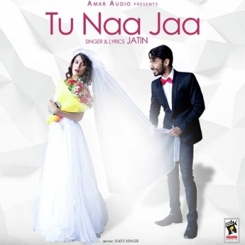 Tu Naa Jaa Jatin mp3 song download, Tu Naa Jaa Jatin full album