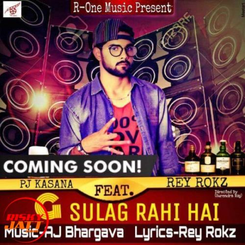 G Sulag Rahi Hai PJ Kasana Ft. Rey Rokz mp3 song download, G Sulag Rahi Hai PJ Kasana Ft. Rey Rokz full album