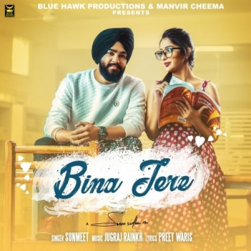 Bina Tere Sunmeet mp3 song download, Bina Tere Sunmeet full album