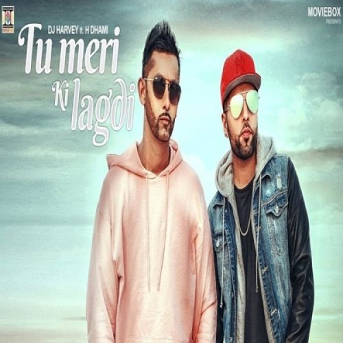 Tu Meri Ki Lagdi DJ Harvey, H Dhami mp3 song download, Tu Meri Ki Lagdi DJ Harvey, H Dhami full album