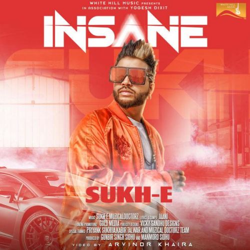 Insane Sukh E Muzical Doctorz mp3 song download, Insane Sukh E Muzical Doctorz full album