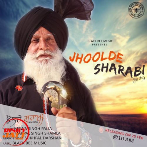 Jhoolde Sharabi (Lok Tath) Mewa Singh Palia mp3 song download, Jhoolde Sharabi (Lok Tath) Mewa Singh Palia full album