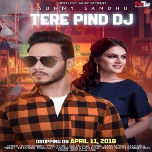 Tere Pind Dj Sunny Sandhu mp3 song download, Tere Pind Dj Sunny Sandhu full album