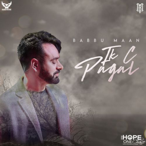 Mehndi Babbu Maan mp3 song download, Ik C Pagal Babbu Maan full album
