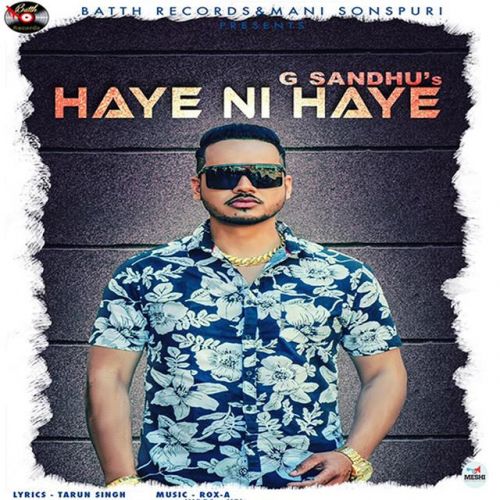 Haye Ni Haye G Sandhu mp3 song download, Haye Ni Haye G Sandhu full album