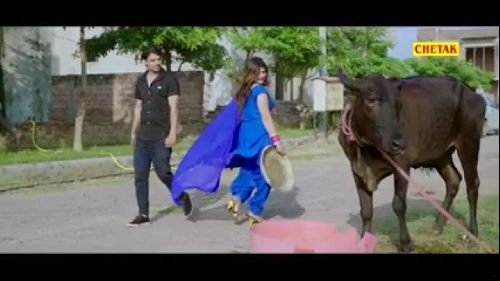 Kit Ka Lagya Pani Jaji King, Sonal Khatri mp3 song download, Kit Ka Lagya Pani Jaji King, Sonal Khatri full album