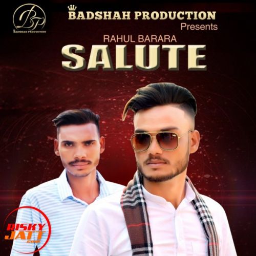 Salute Rahul Barara, Sahil Sakarpur mp3 song download, Salute Rahul Barara, Sahil Sakarpur full album