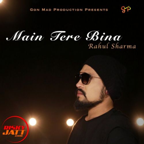 Main Tere Bina Rahul Sharma mp3 song download, Main Tere Bina Rahul Sharma full album