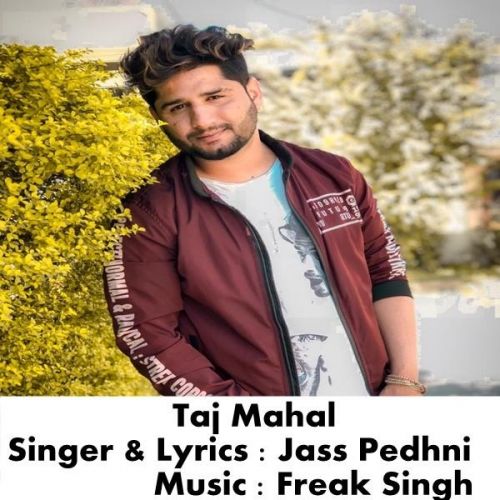 Taj Mahal Jass Pedhni mp3 song download, Taj Mahal Jass Pedhni full album