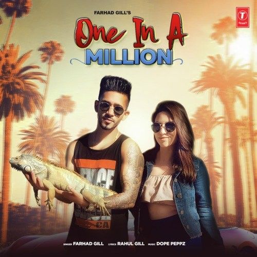 One In A Million Farhad Gill mp3 song download, One In A Million Farhad Gill full album