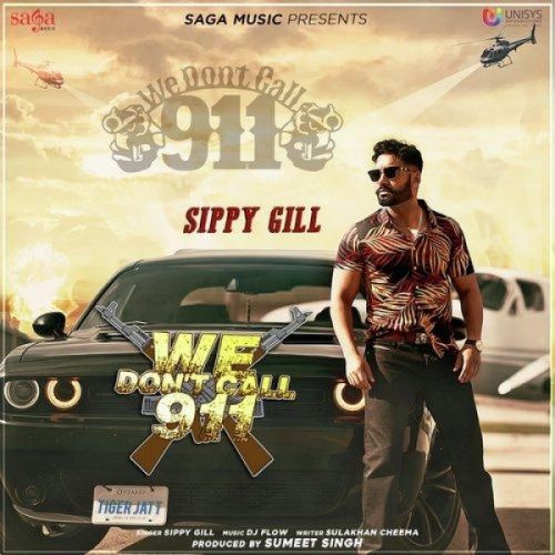 We Dont Call 911 Sippy Gill mp3 song download, We Dont Call 911 Sippy Gill full album