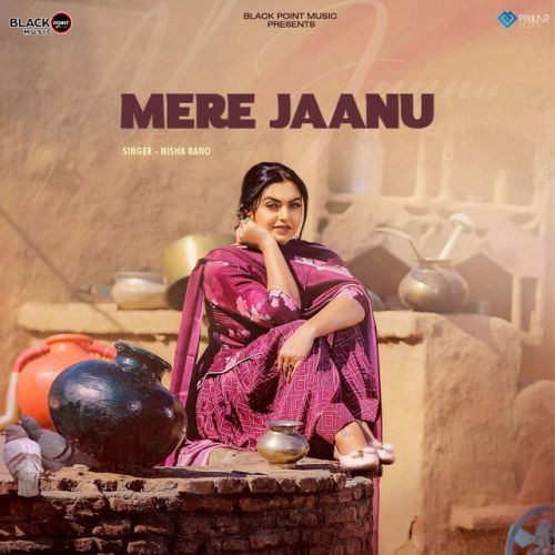 Mere Jaanu Nisha Bano mp3 song download, Mere Jaanu Nisha Bano full album