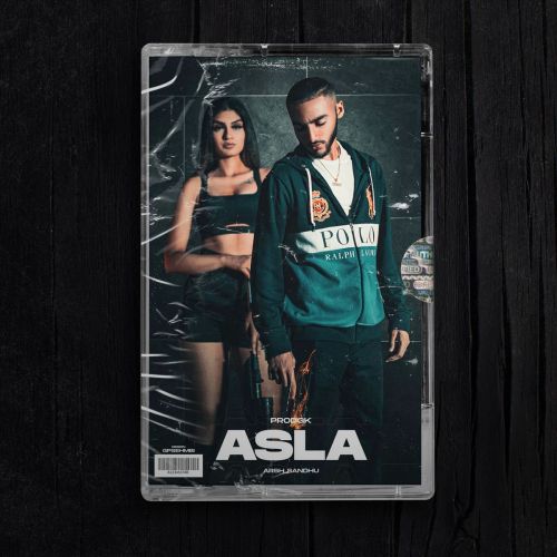 Download Asla Arsh Sandhu mp3 song, Asla Arsh Sandhu full album download