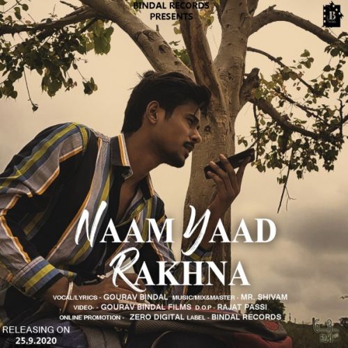 Naam Yaad Rakhna Gourav Bindal mp3 song download, Naam Yaad Rakhna Gourav Bindal full album