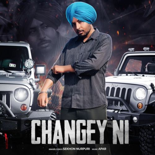 Download Changey ni Sekhon Nurpuri mp3 song, Changey ni Sekhon Nurpuri full album download