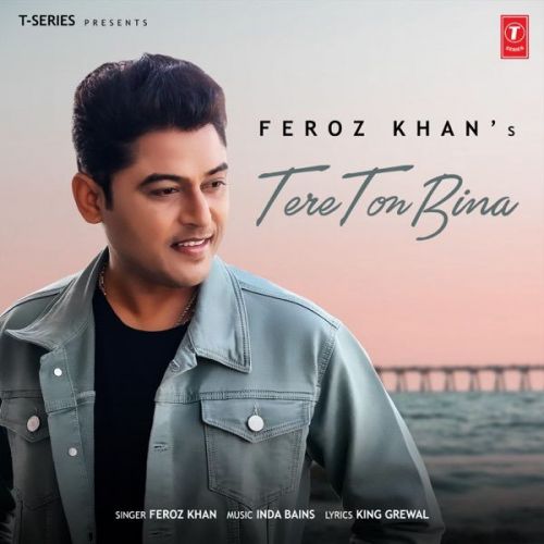 Tere Ton Bina Feroz Khan mp3 song download, Tere Ton Bina Feroz Khan full album