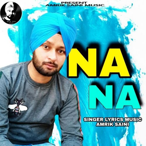 Download Na Na Amrik Saini mp3 song, Na Na Amrik Saini full album download