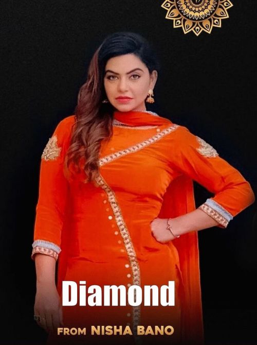 Diamond Nisha Bano mp3 song download, Diamond Nisha Bano full album