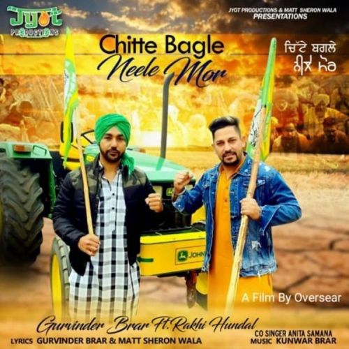 Chitte Bagle Neele Mor Anita Samana, Gurvinder Brar mp3 song download, Chitte Bagle Neele Mor Anita Samana, Gurvinder Brar full album