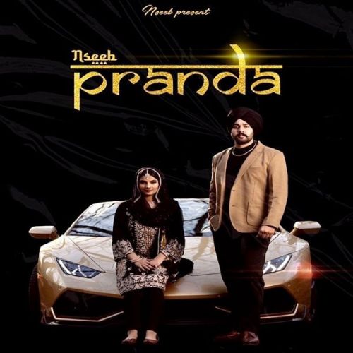 Paranda Nseeb mp3 song download, Paranda Nseeb full album