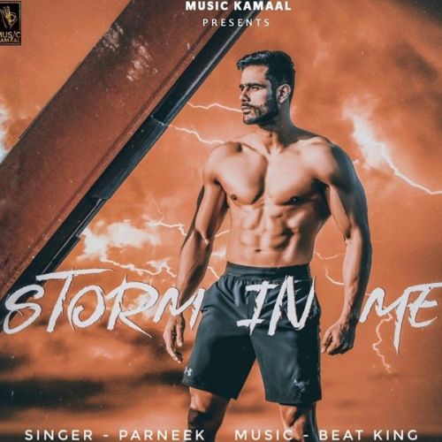 Storm In Me Parneek mp3 song download, Storm In Me Parneek full album