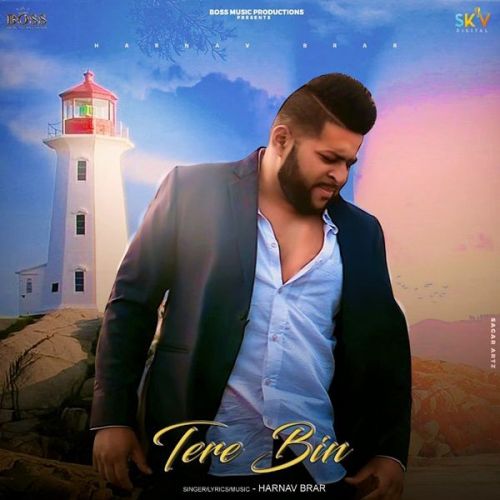 Tere Bin Harnav Brar mp3 song download, Tere Bin Harnav Brar full album