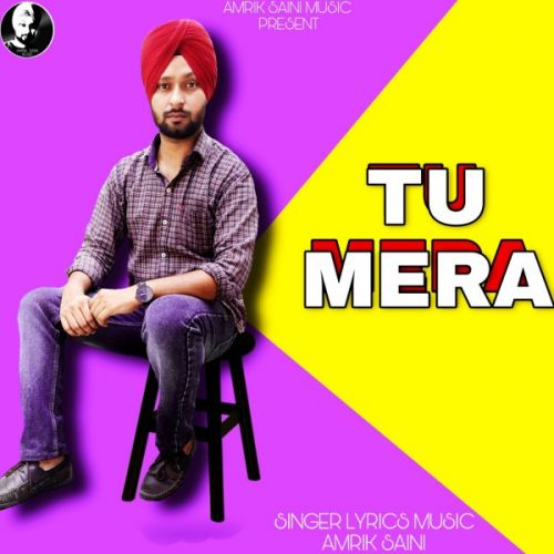 Tu mera Amrik Saini mp3 song download, Tu mera Amrik Saini full album