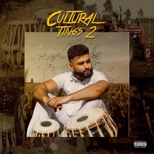 Cant Let You Go [Bonus] AK, Akal Inder mp3 song download, Cultural Tings 2 AK, Akal Inder full album