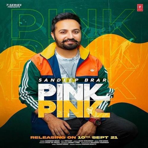 Pink Pink Sandeep Brar mp3 song download, Pink Pink Sandeep Brar full album