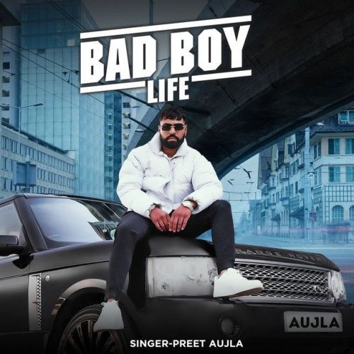 Bad Boy Life Mr Dee, Preet Aujla mp3 song download, Bad Boy Life Mr Dee, Preet Aujla full album