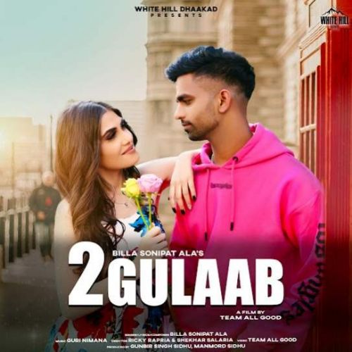 2 Gulaab Billa Sonipat Ala mp3 song download, 2 Gulaab Billa Sonipat Ala full album