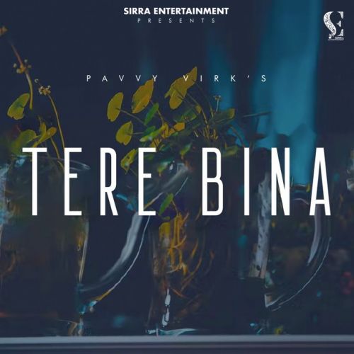 Tere Bina Pavvy Virk mp3 song download, Tere Bina Pavvy Virk full album