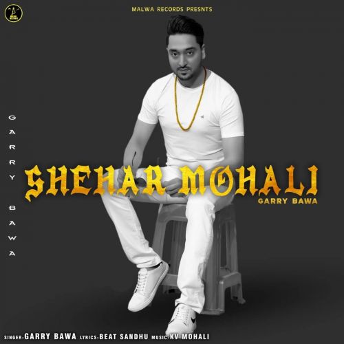 Shehar Mohali Garry Bawa mp3 song download, Shehar Mohali Garry Bawa full album