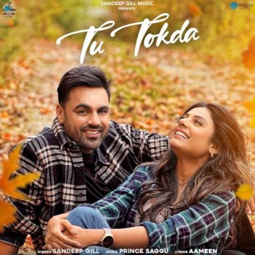 Tu Tokda Sandeep Gill mp3 song download, Tu Tokda Sandeep Gill full album